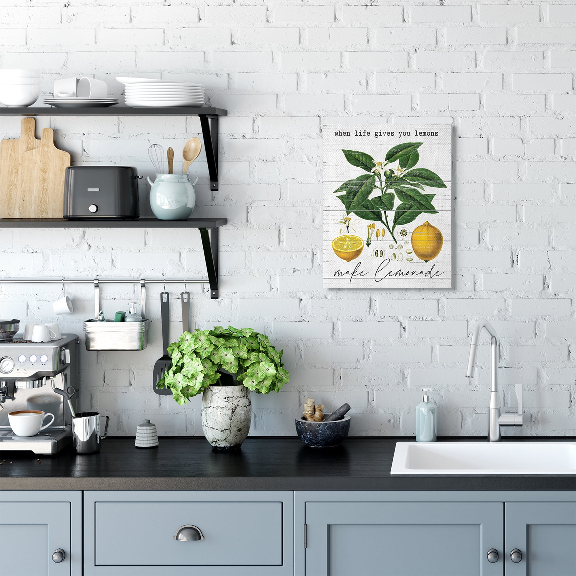 Stupell Industries Life Gives Lemons Quote Country Fruit Anatomy Canvas Wall Art by Lettered and Lined