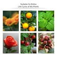 thumbnail image 6 of SANSI 24W LED Grow Light Bulb, BR30 Full Spectrum Plant Light Lamp, E26 Base (300W Equivalent), 6 of 11