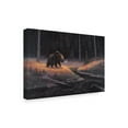 thumbnail image 2 of Trademark Fine Art 'The Guardian Bear' Canvas Art by Allen Jimmerson, 2 of 3