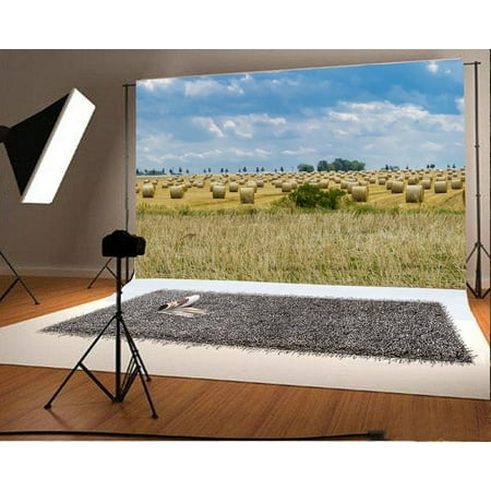Rolled Backdrops HelloDecor Polyester 7x5ft Backdrop Grain Rolls Field Farmland Landscape Photography Background Countryside Rural Scenery Cornfield and Storm Clouds Agriculture ()