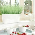 thumbnail image 7 of Zukuco 16PCS Fake Light Green Grass Decor Artificial Grass Plants Outdoor Artificial Tall Shrubs Wheat Grass Greenery Stems Faux UV Resistant Grass Artificial Plant for Outdoor Indoor Home Decor, 7 of 7