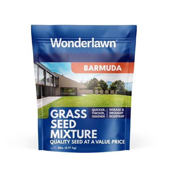 Barenbrug Wonderlawn Bermuda Grass Full Sun Grass Seed 2 lb