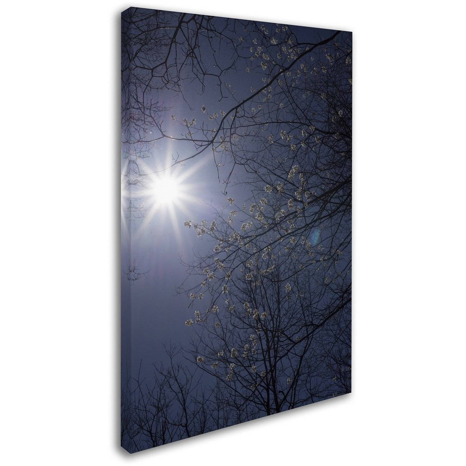 Trademark Fine Art "Springtime Sunshine" Canvas Art by Kurt Shaffer