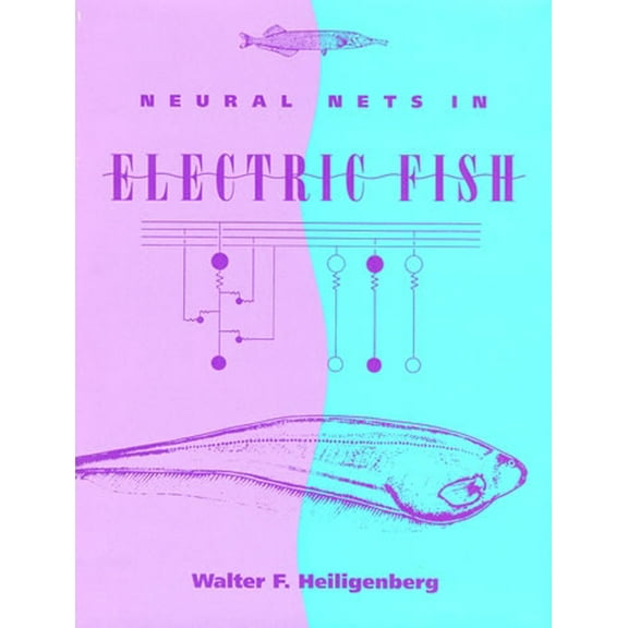 Computational Neuroscience Neural Nets in Electric Fish, (Paperback)