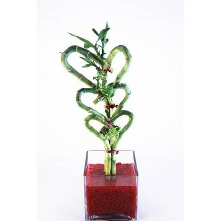 Athenas Garden BA-HS08HS12HS16-SQ4-RRSM 3 Staggered Triple Heart Bamboo & Red Rock Container