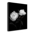 thumbnail image 2 of Tangletown Fine Art Peony Perfection I by Jeff Maihara Poster Frame - 35 x 35 x 1.5 in., 2 of 2