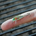 thumbnail image 3 of Rapala Jointed Shad Rap 04 Fishing Lure - Clown, 3 of 5