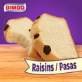 thumbnail image 4 of Bimbo Panqué con Pasas Plain Pound Cake with Raisins, 9.88 oz, Pound Cakes, Bag, 4 of 8