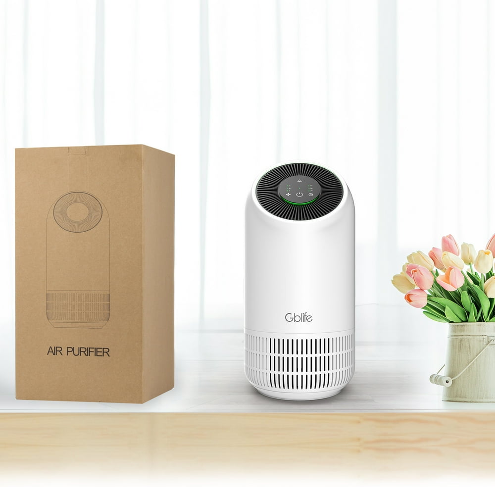 clean room air purifier