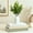 Light Green, variant on FIASON 3-Piece Light Green Faux Decorative Books Set with Secret Storage Box, Gold Foil Linen Fake Books with White Vase & Artificial Eucalyptus, Boho Farmhouse Coffee Table Shelf Home Decor