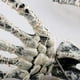 thumbnail image 2 of Bones Hand Halloween Props tamaño real para patio al aire libre jardín césped (blanco), 2 of 4