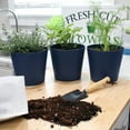 thumbnail image 3 of Indoor Herb Planter Potting Mix (2 Quarts), Culinary Herb Potting Soil Mix for Container Gardening, 3 of 10