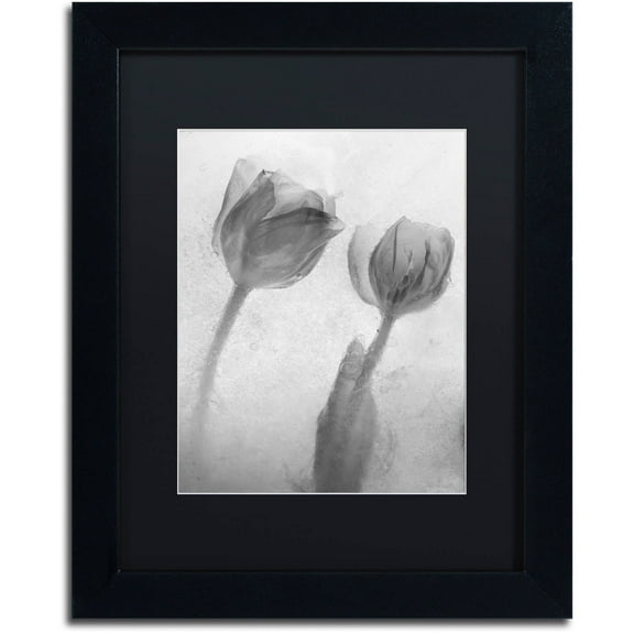 Moises Levy 'Flowers on Ice-1' Black Matted Framed Art