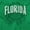 Irish Green, variant on Florida FL Student Campus Pride Men's Graphic T Shirt Tees Brisco Brands S