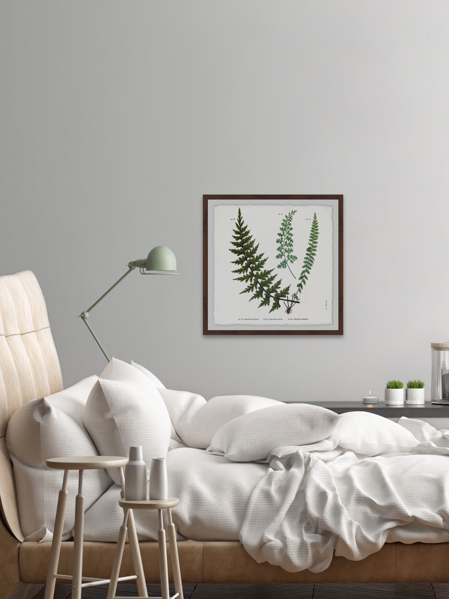 Indian Ferns Framed Painting Print