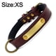 thumbnail image 2 of Collares para perros de cuero resistente - Collares para perros pequeños, medianos, grandes y extra grandes Adepaton Correas y Collares para Perros, 2 of 5