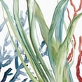 thumbnail image 3 of Masterpiece Art Gallery Ocean Magic II Marine Botanical by Carol Robinson Canvas Art Print, 3 of 4