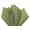 Kelly Green, variant on Bright Lime Tissue Paper Squares, 24 Sheets, Feronia Packaging, Large 20x30 Inch