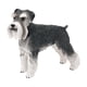 thumbnail image 3 of Figura de perro realista en miniatura, Schnauzer estándar, manualidades de imaginación, juguete realista de PVC, estatua de perro Animal coleccionable, 3 of 10