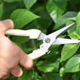 thumbnail image 5 of Stainless Steel Pruning Shears One Hand Pruner for Garden Branches Ivory White Straight Tip Hand Pruning Tool for Plant Trimming and Tree Cutting, 5 of 9