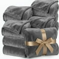 thumbnail image 2 of Ameha Fleece Blanket Bulk Pack of 14 For Wholesale, Wedding Guests, Favors, Homeless Adult Washable Winter Blanket Warm Cozy 60x80 Twin Silver, 2 of 11