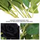 thumbnail image 4 of 1 pieza de 9 ramas de rosa negra artificial para Halloween., 4 of 5