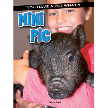 Mini Pig - eBook (Best Pigs To Have As Pets)