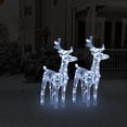 thumbnail image 1 of Renos navideños VidaXL hechos de acrílico con luces LED, 2 unidades, 1 of 7