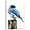 Blue Bird Wall Art, variant on ZHONGYUTONG Blue Bird Wall Art Canvas Bird Pictures Wall Decor White and Blue Sparrow Painting for Bathroom Bedroom Decor Framed (12.00" x 18.00")