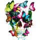 thumbnail image 3 of Cuadros Decorativos Kit de pintura por números DIY calavera mariposa lienzo arte al óleo imagen decoración del hogar JShteea Nuevos Originales, 3 of 9