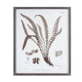 thumbnail image 3 of Melrose International Framed Fern Print (Set of 6), 3 of 7