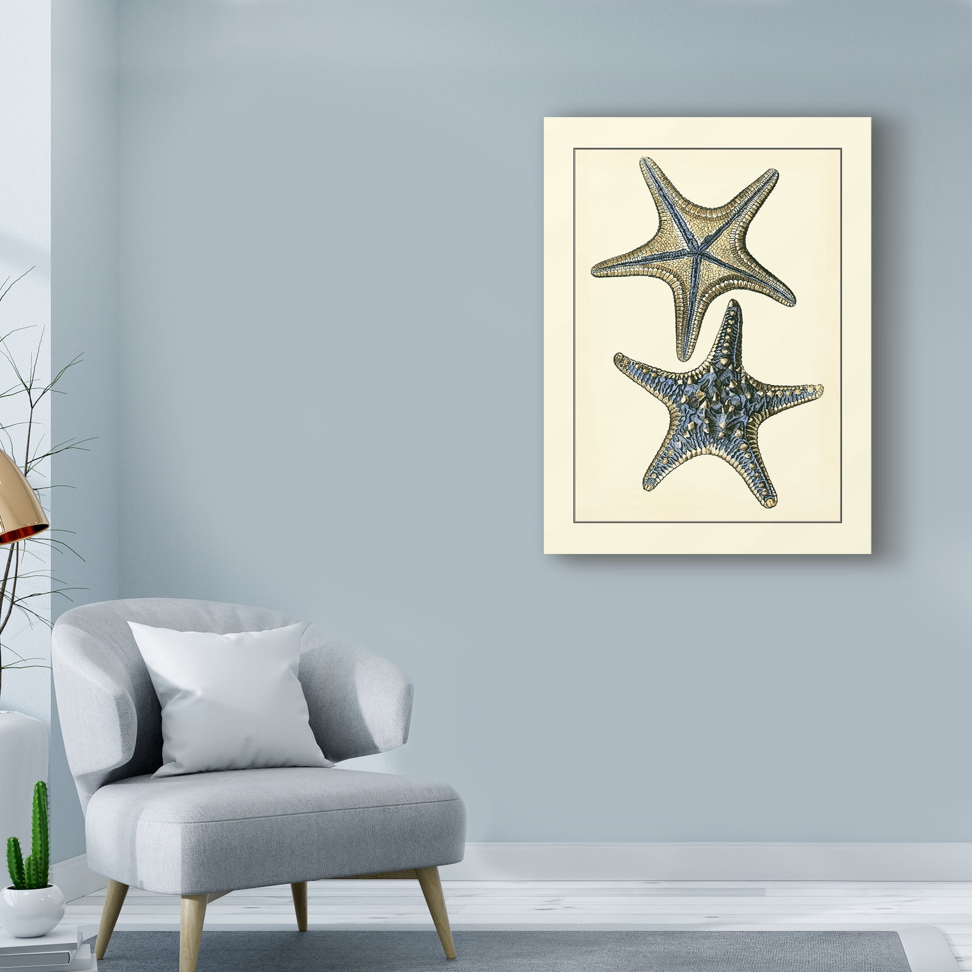 Trademark Fine Art 'Antique Blue Starfish II' Canvas Art by Vision Studio