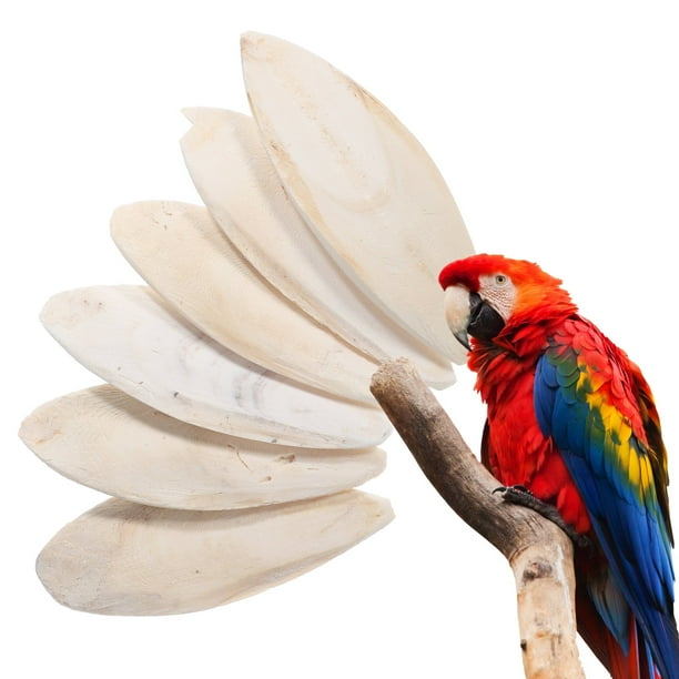 piezas de hueso de sepia para masticar pájaros, hueso de sepia para roer, accesorios para jaulas de pájaros, hueso de sepia natural para pájaros