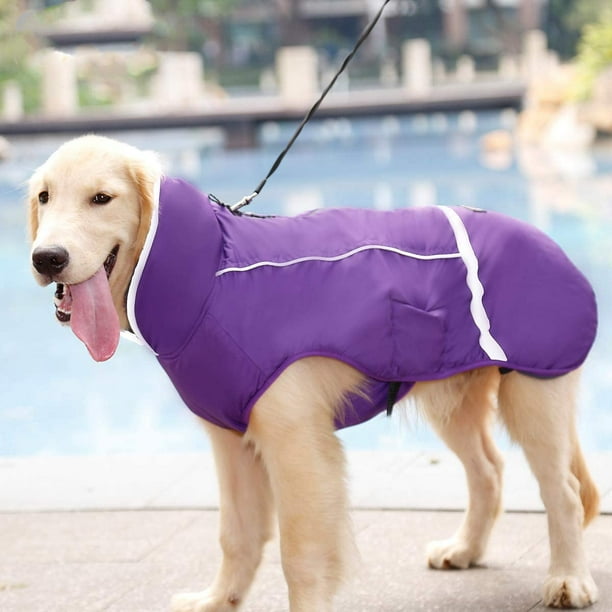 Dog coat shop for golden retriever