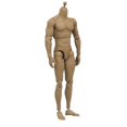 thumbnail image 3 of 1:6 Scale Action Figure Male Muscle Body Toys Version 2.0 For Ttm19 Banmo, 3 of 5