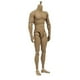 thumbnail image 3 of 1:6 Scale Action Figure Male Muscle Body Toys Version 2.0 For Ttm19 Banmo, 3 of 5