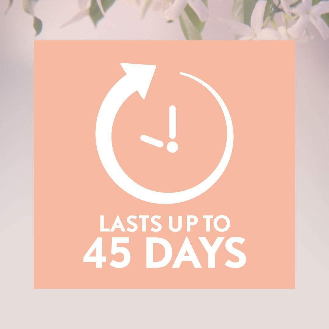 Recharge pour diffuseur d'huile parfumée Air Wick Essential Mist, Se détendre, 1 unité, assainisseur d'air, 20mL