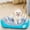 Sky blue, variant on IPEWLEX Washable Dog Bed for Medium Dogs - Comfortable, Breathable Pet Bed with Raised Rim, Rectangle Warming Dog Bed for Joint Support