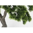 thumbnail image 5 of 46" Artificial Faux Bonsai Tree | Real Touch Artificial Faux Bonsai Tree, 5 of 6
