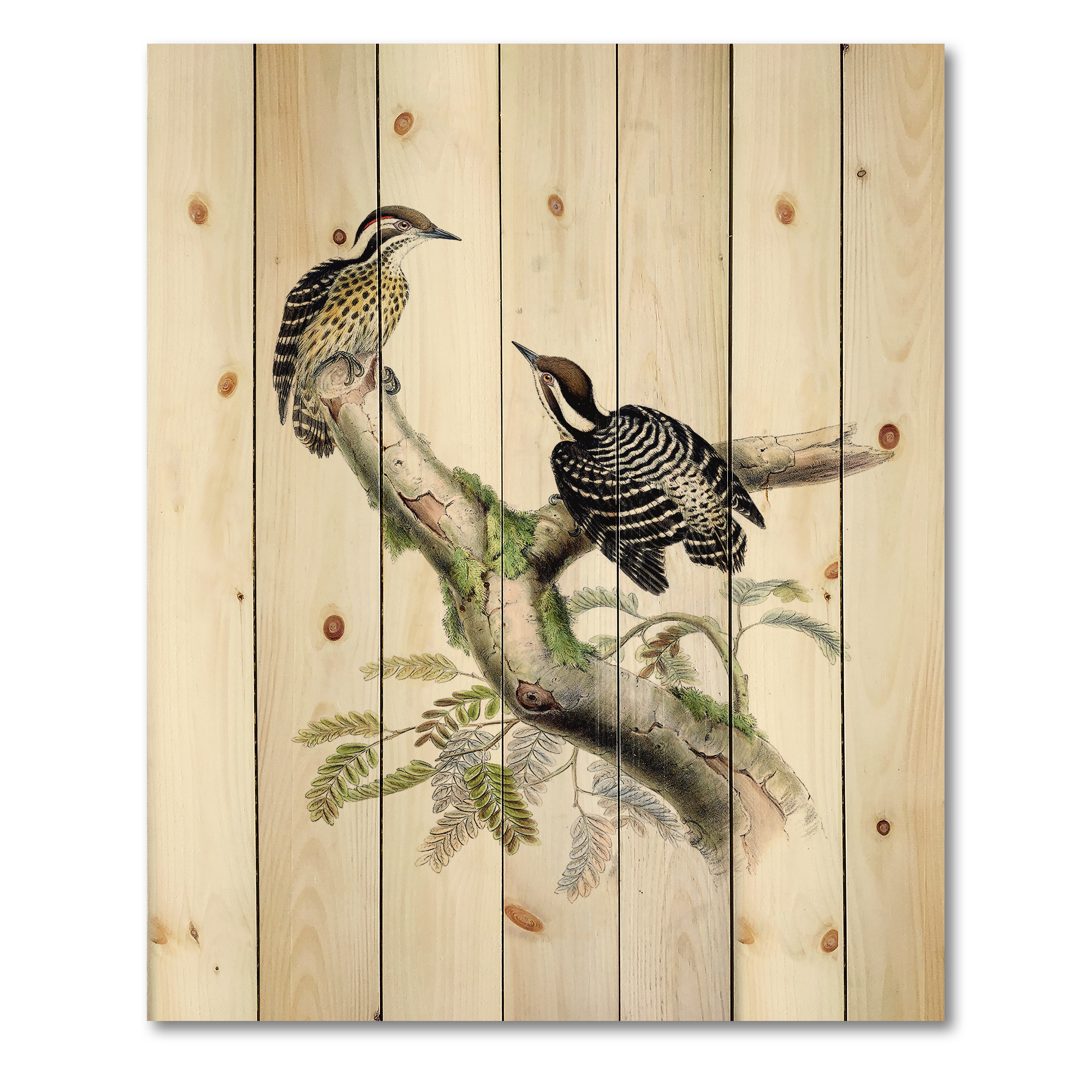 Designart 'Ancient Birds In The Wild VIII' Traditional Print on Natural Pine Wood