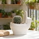thumbnail image 1 of Personalized Toilet-Style Succulents Pots Desktop Plants White Porcelain Pots European-Style Balcony Planting Small Flower Pots, 1 of 6