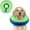 Donut Green, variant on Supet Inflatable Dog Cone Collar Alternative After Surgery, Doggie Neck Donut Collar Recovery, Soft Dog Cone for Small Medium Large Dogs
