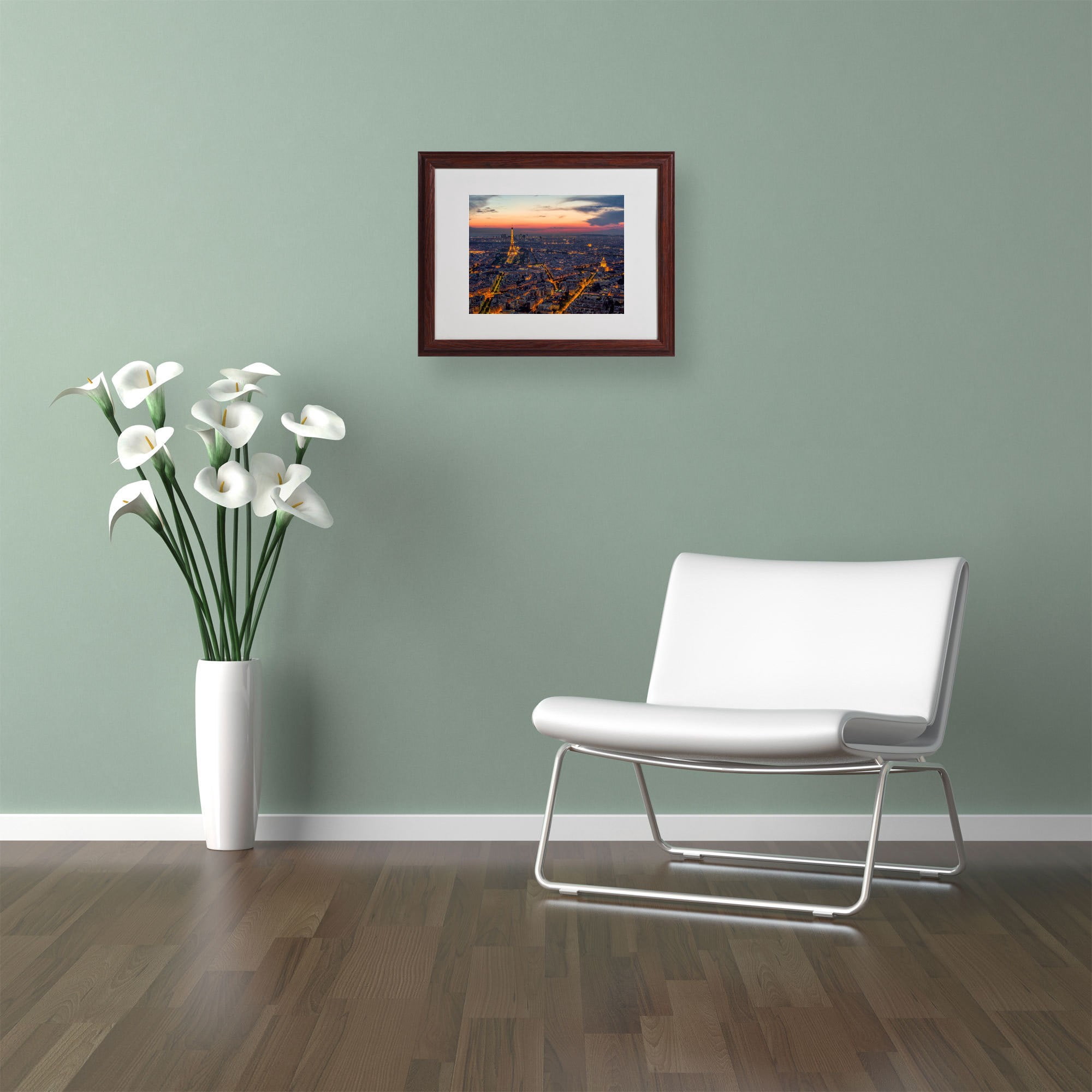 Trademark Fine Art "From the Roofs of Paris" Framed Canvas Art by Mathieu Rivrin
