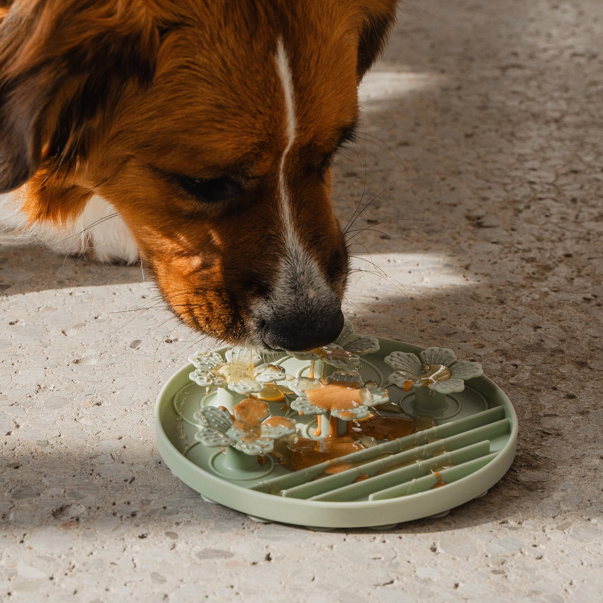 Dexypaws: Hide & Seek Slow Feeder - Sage Green - Dog & Pet, Meal & Treat Feeding Accessory, Fits In Most 8" Bowls, Suction Base, Food-Grade Silicone