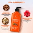 thumbnail image 2 of Botanic Hearth Cinnamon Body Wash | 5-in-1 Care Formula | Invigorating Shower Gel with Natural Cinnamon Extract | Paraben & Sulphate Free | Gentle Hydrating Body Cleanser for All Skin Types | 16 fl o, 2 of 10