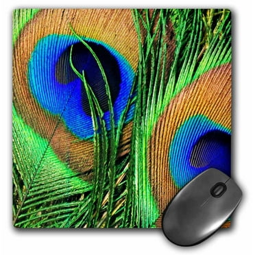 3dRose Vector peacock feathers in electric blue and pink, Mouse Pad, 8 ...
