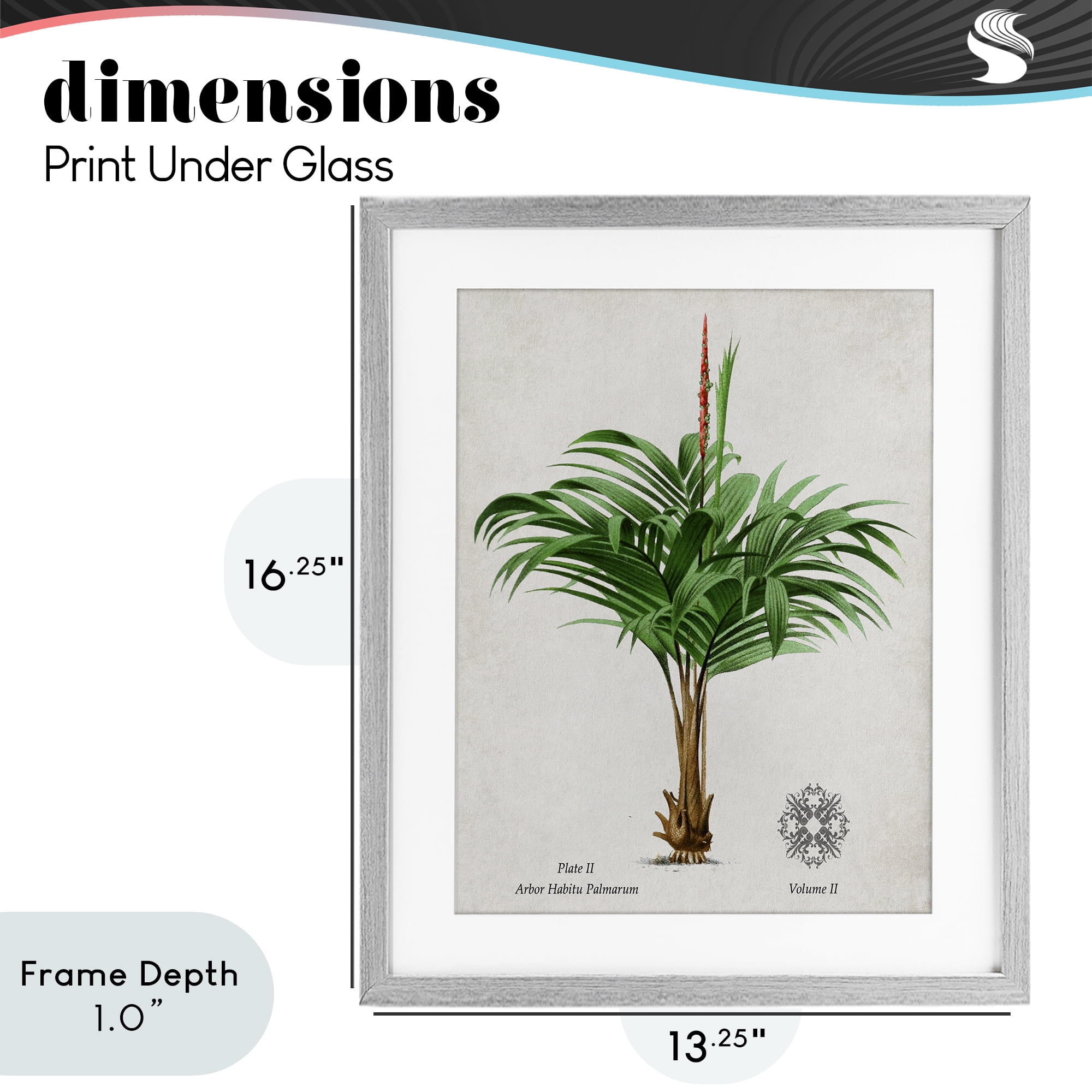 Stupell Industries Natural Palm Variety Study Gray Framed Print Under Glass, design by Val Rhodes
