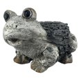 thumbnail image 1 of Frog Petit Pot en Pierre, 1 of 1