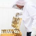 thumbnail image 4 of Traje protector de apicultor Chaqueta de apicultor con sombrero, Protección de abeja apicultor profesional Namotu LKX-0531, 4 of 4
