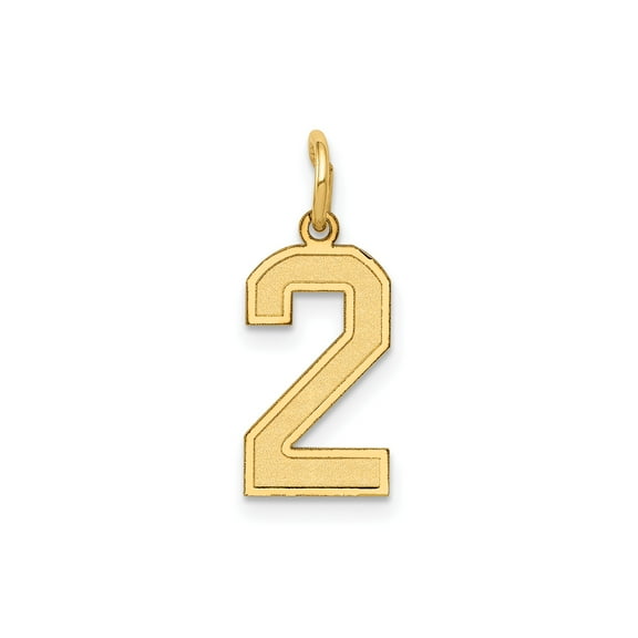 10k Yellow Gold Number 2 Pendant Charm for Women or Unisex, Textured Block Style Numeric Jewelry for Layering, Symbolic Necklace for Sports, Birth Year, or Meaningful Date